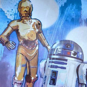 Star Wars Droids R2D2 C3PO Colorful Art Canvas Poster 12x16" unframed